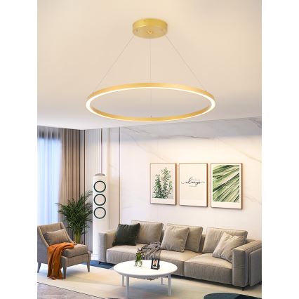 Immax NEO 07159-G80 - LED Stmievateľný luster na lanku FINO LED/60W/230V Tuya zlatá + diaľkové ovládanie