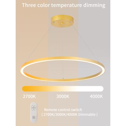 Immax NEO 07159-G80 - LED Stmievateľný luster na lanku FINO LED/60W/230V Tuya zlatá + diaľkové ovládanie