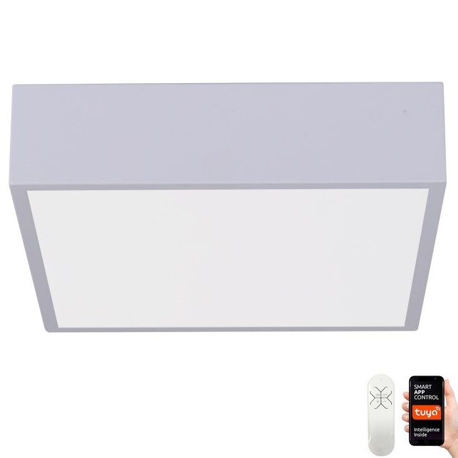 Immax NEO 07238L - LED Stmievateľné stropné svietidlo CANTO LED/22W/230V biela Tuya + diaľkové ovládanie