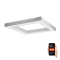 Immax NEO 07240L - LED Stmievateľné stropné svietidlo CANTO LED/60W/230V 2700-6500K Tuya biela