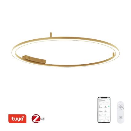 Immax NEO 07290-120G - LED+CCT Stmievateľné stropné svietidlo FINO LED/55W/230V 2700-6500K Tuya pr. 120 cm + diaľkové ovládanie