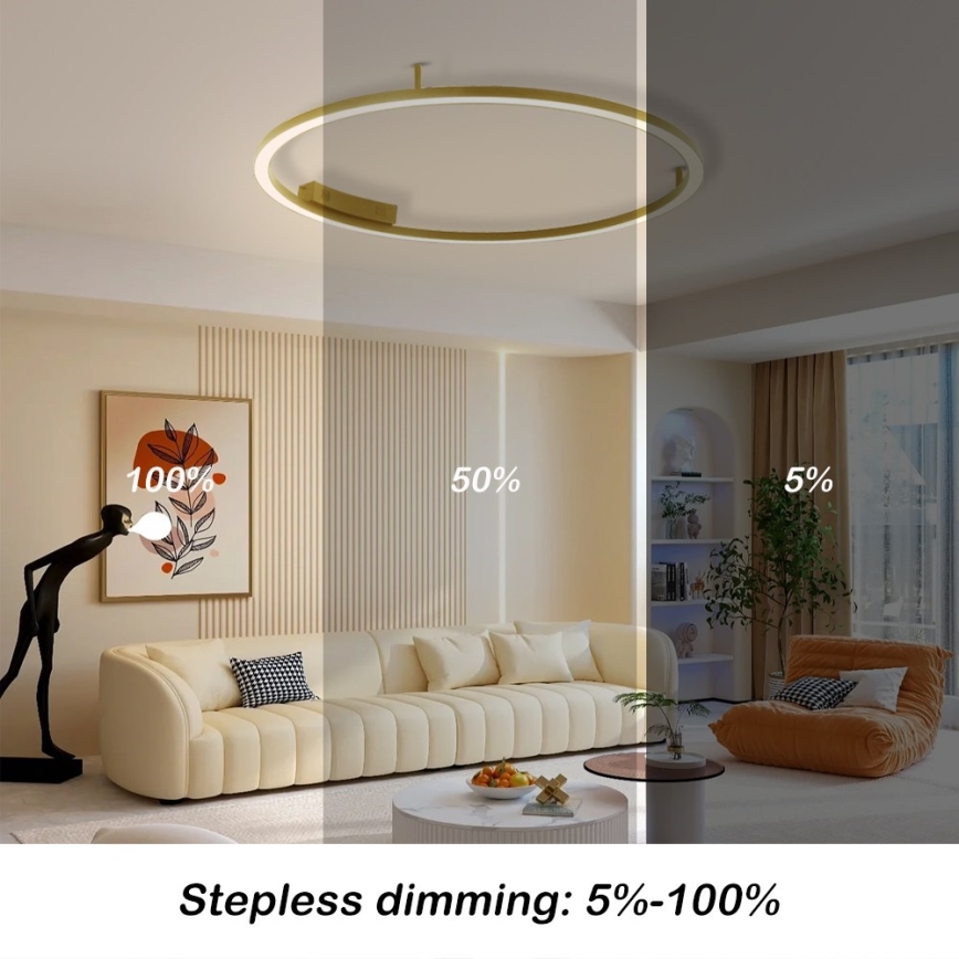 Immax NEO 07291-80G - LED+CCT stmievateľné stropné svietidlo FINO LED/55W/230V 2700-6500K Tuya priemer 80 cm + diaľkové ovládanie