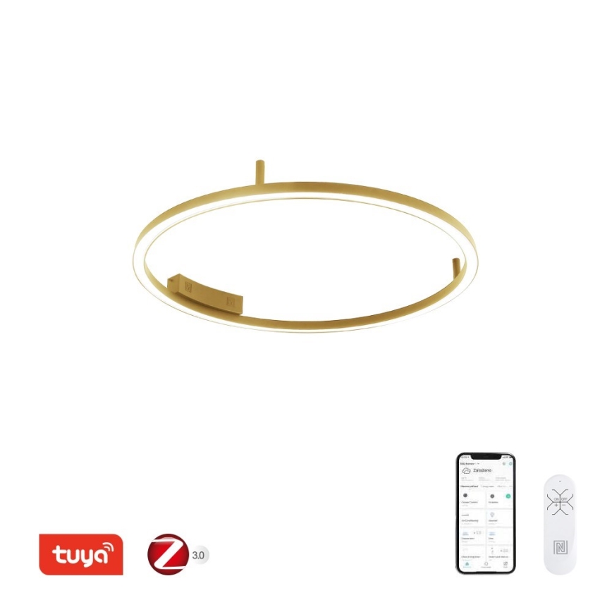 Immax NEO 07291-80G - LED+CCT stmievateľné stropné svietidlo FINO LED/55W/230V 2700-6500K Tuya priemer 80 cm + diaľkové ovládanie