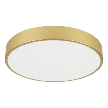 Immax NEO 07292L - LED+CCT Stmievateľné stropné svietidlo SEMPLICI LED/36W/230V 2700-6500K pr. 40 cm + diaľkové ovládanie