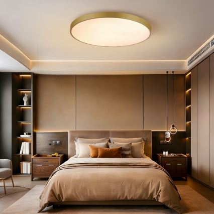 Immax NEO 07311L - LED stmievateľné stropné svietidlo SEMPLICI LED/96W/230V pr. 80 cm Wi-Fi Tuya zlatá + diaľkové ovládanie