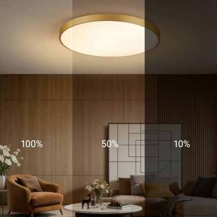 Immax NEO 07311L - LED stmievateľné stropné svietidlo SEMPLICI LED/96W/230V pr. 80 cm Wi-Fi Tuya zlatá + diaľkové ovládanie