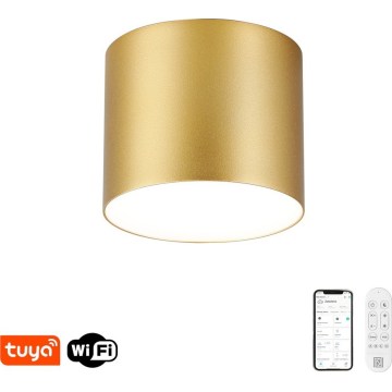 Immax NEO 07317L - LED stmievateľné stropné svietidlo RONDATE LED/18W/230V pr. 11,5cm Wi-Fi Tuya zlatá