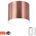 Immax NEO 07320L - LED stmievateľné stropné svietidlo RONDATE LED/32W/230V pr. 16,5 cm Wi-Fi Tuya ružové zlato
