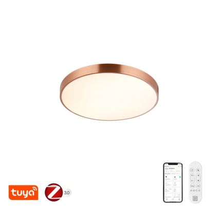 Immax NEO 07321L - LED stmievateľné stropné svietidlo NEO LITE SEMPLICI LED/36W/230V pr. 40 cm Tuya ružovo-zlatá + diaľkové ovládanie