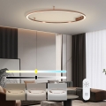 Immax NEO 07325-120C - LED Stmievateľné stropné svietidlo FINO LED/72W/230V 120 cm Tuya ružové zlato + diaľkové ovládanie