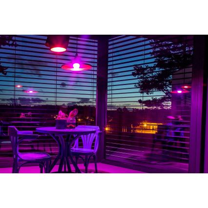 Immax NEO 07745CDO - SADA 3× LED RGB+CCT stmievateľných žiaroviek E14/6W/230V Tuya Wi‑Fi + diaľkové ovládanie