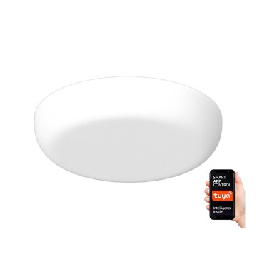 Immax NEO - LED Stmievateľné kúpeľňové podhľadové svietidlo PRACTICO LED/24W/230V Immax NEO - LED Stmievateľné kúpeľňové podhľadové svietidlo PRACTICO LED/24W/230V