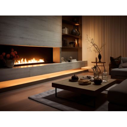 InFire - Vstavaný BIO krb 7,5x120 cm 7kW čierna