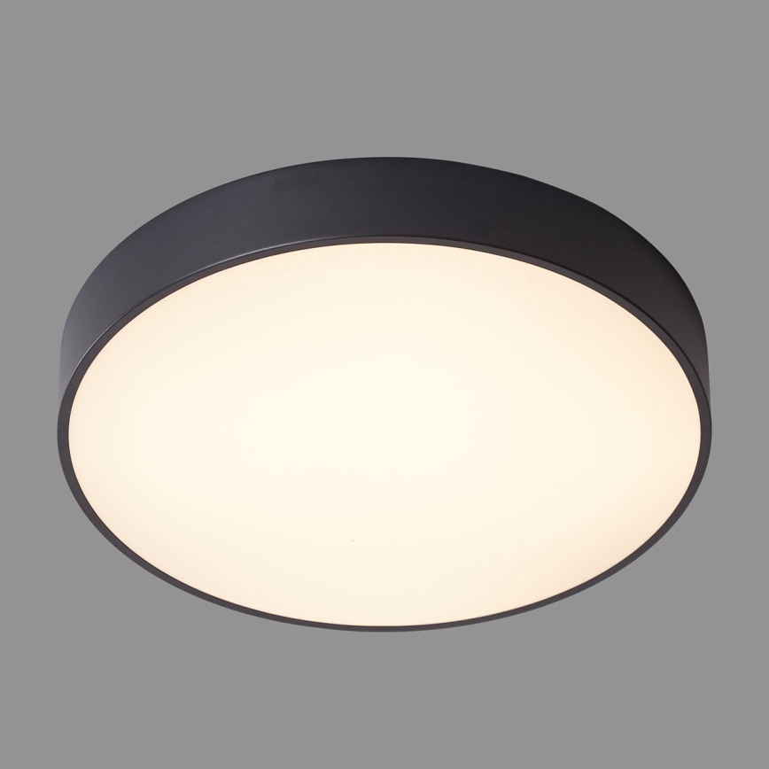ITALUX - LED Stropné svietidlo ORBITAL LED/30W/230V 3000K čierna
