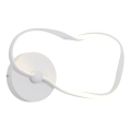 ITALUX - LED Nástenné svietidlo AMAYA LED/20W/230V biela