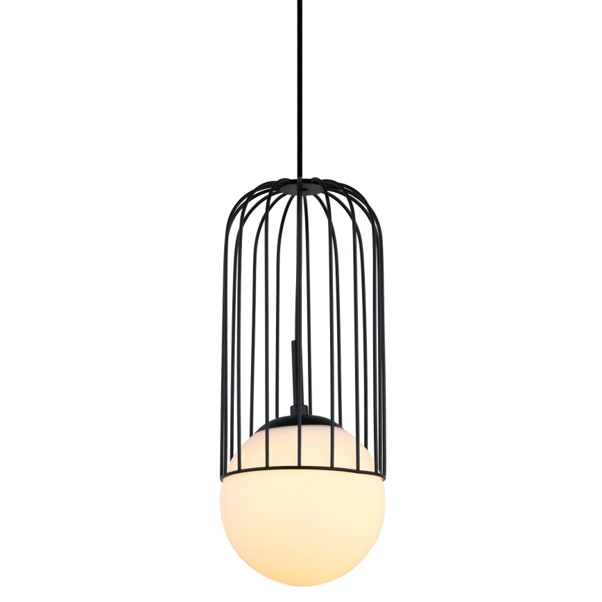 ITALUX - Luster na lanku MATTY 1xE27/40W/230V pr. 15 cm čierna
