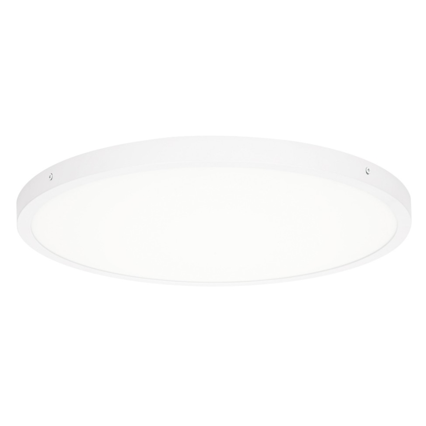 ITALUX - LED Stropné svietidlo PELARO LED/36W/230V 4000K pr. 50 cm biela