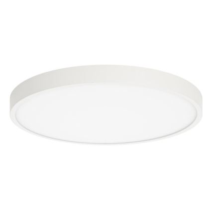 ITALUX - LED Stropné svietidlo RIBERIO LED/30W/230V 3000K biela