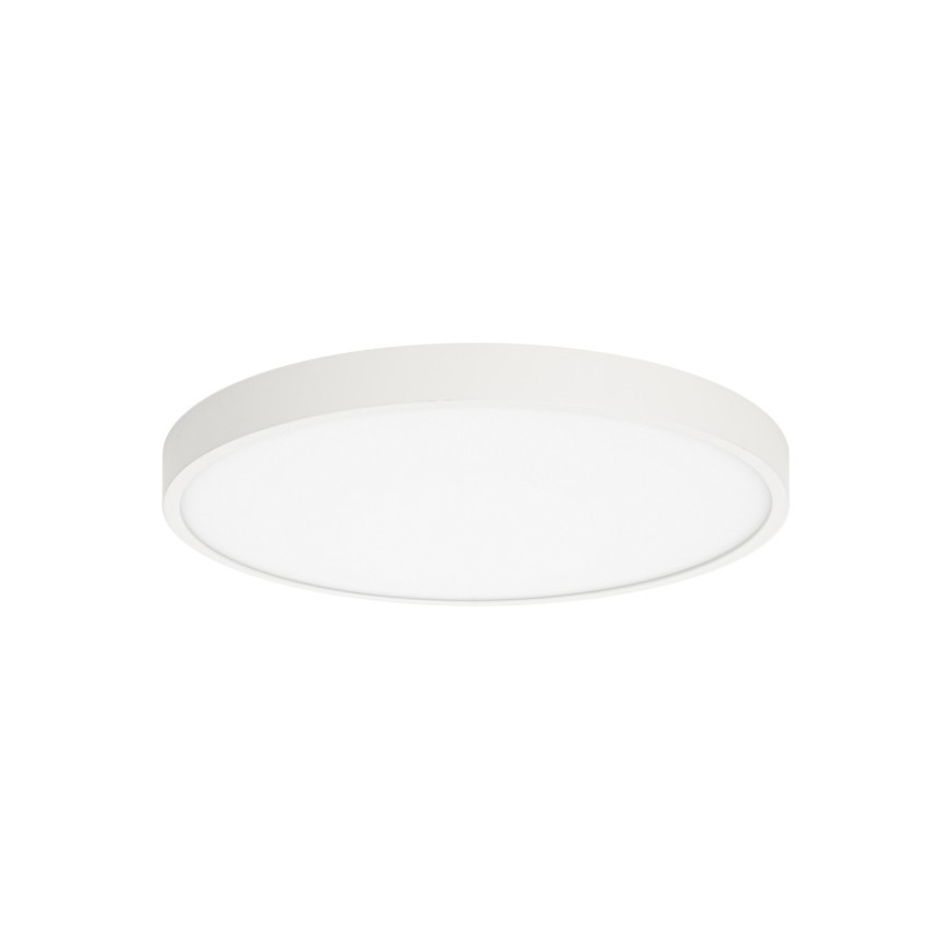 ITALUX - LED Stropné svietidlo RIBERIO LED/30W/230V 3000K biela