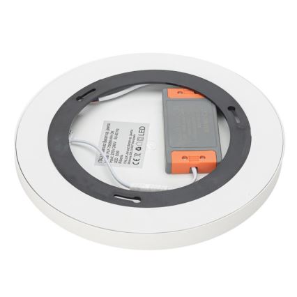 ITALUX - LED Stropné svietidlo RIBERIO LED/30W/230V 3000K biela