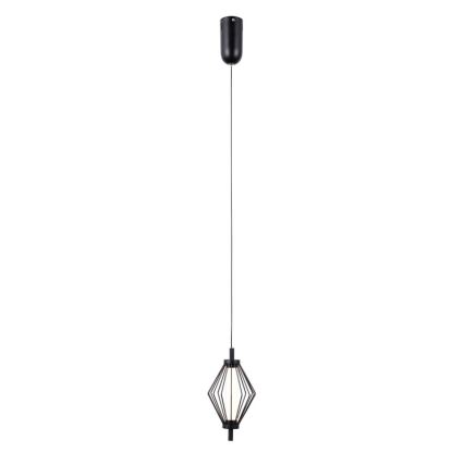 ITALUX - LED závesný luster na lanku SEVILLA LED/5W/230V 3000K čierny