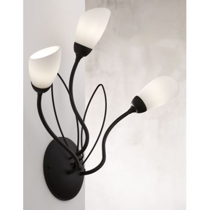 Jupiter 2059 - Nástenné svietidlo GLORIOSA 3xG9/14W/230V čierna