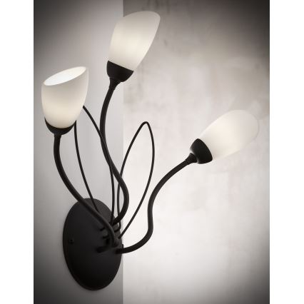 Jupiter 2059 - Nástenné svietidlo GLORIOSA 3xG9/14W/230V čierna