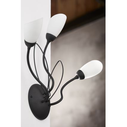 Jupiter 2059 - Nástenné svietidlo GLORIOSA 3xG9/14W/230V čierna