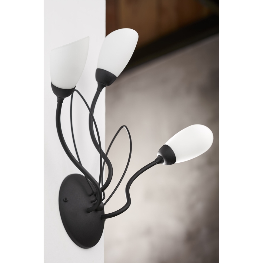 Jupiter 2059 - Nástenné svietidlo GLORIOSA 3xG9/14W/230V čierna