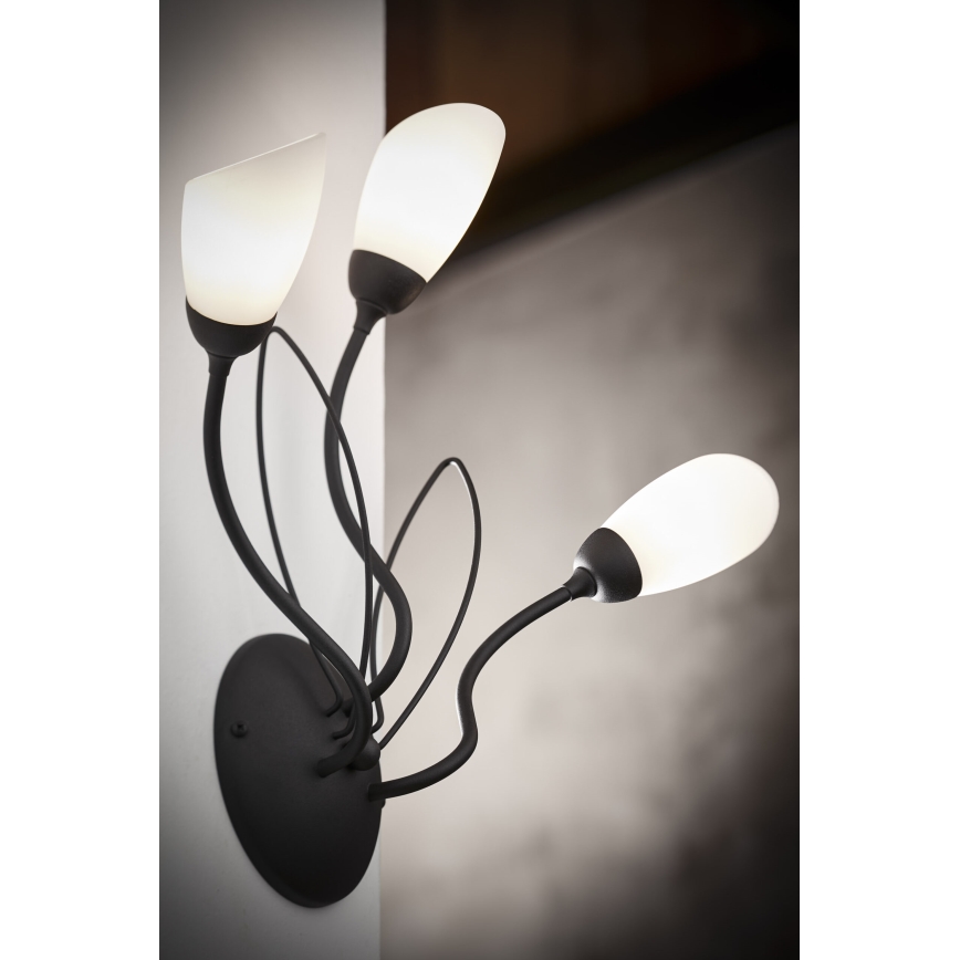 Jupiter 2059 - Nástenné svietidlo GLORIOSA 3xG9/14W/230V čierna