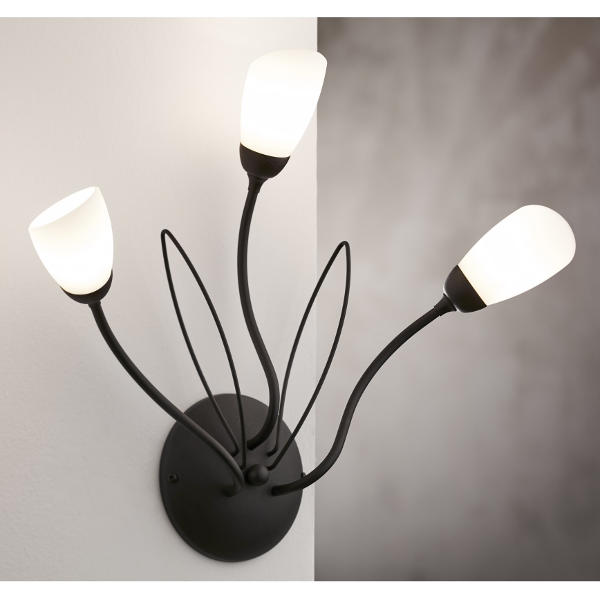 Jupiter 2059 - Nástenné svietidlo GLORIOSA 3xG9/14W/230V čierna