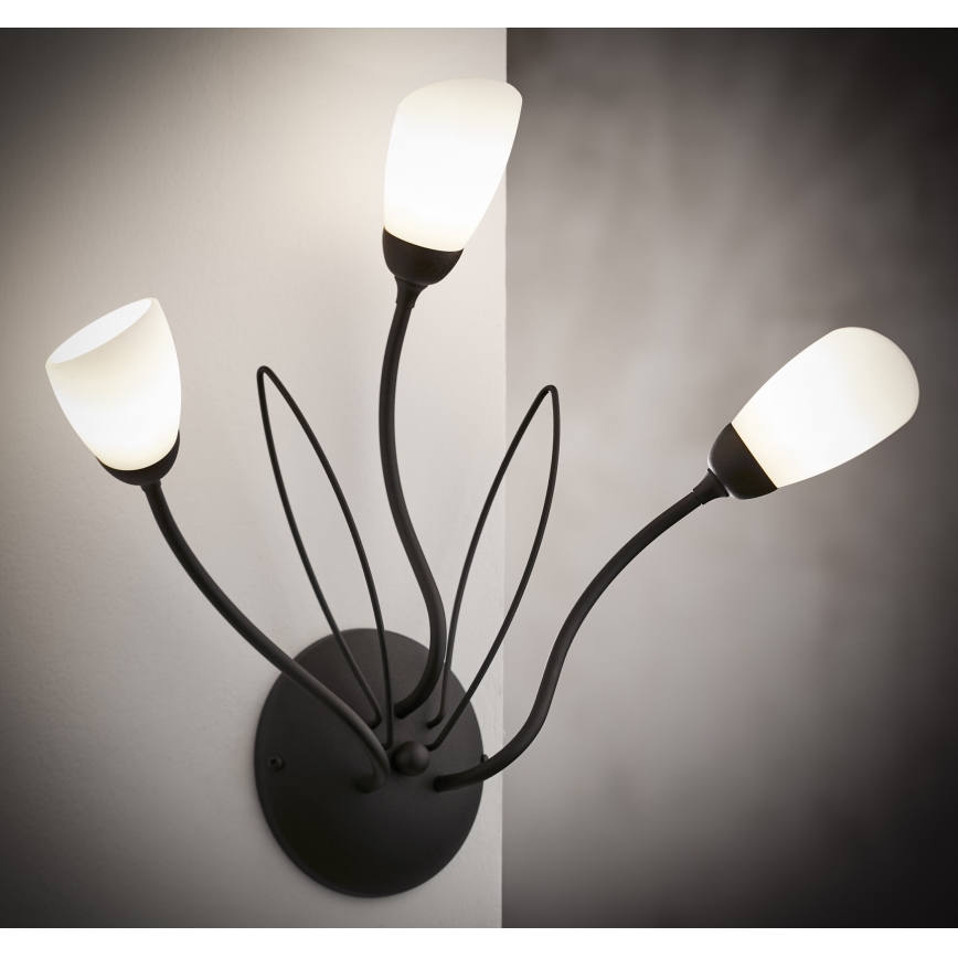 Jupiter 2059 - Nástenné svietidlo GLORIOSA 3xG9/14W/230V čierna