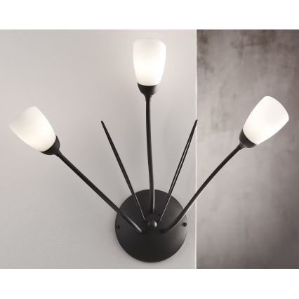 Jupiter 2059 - Nástenné svietidlo GLORIOSA 3xG9/14W/230V čierna