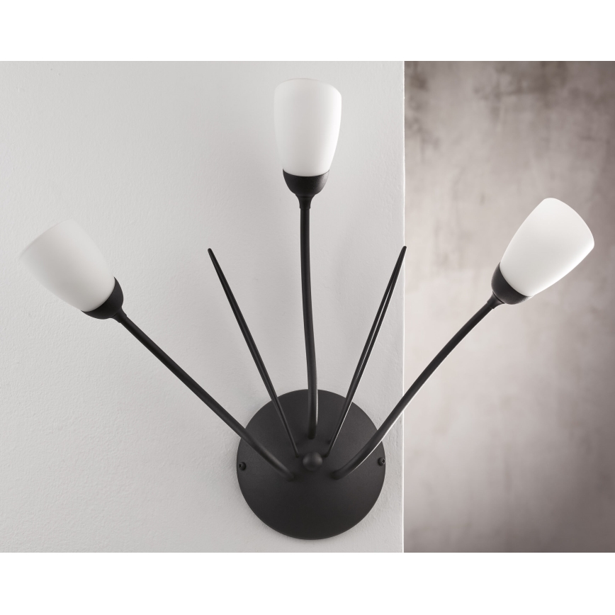 Jupiter 2059 - Nástenné svietidlo GLORIOSA 3xG9/14W/230V čierna