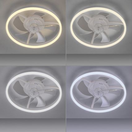 JUST LIGHT. 14624-16 - LED stmievateľný stropný ventilátor s osvetlením RITA LED/22W/230V 3000-6000K priemer 50 cm biely + diaľkové ovládanie