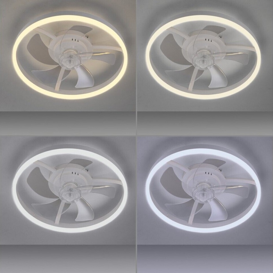 JUST LIGHT. 14624-16 - LED stmievateľný stropný ventilátor s osvetlením RITA LED/22W/230V 3000-6000K priemer 50 cm biely + diaľkové ovládanie