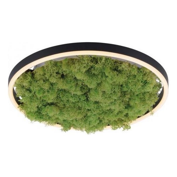 JUST LIGHT. 15391-66 - LED Stmievateľné stropné svietidlo ZELENÁ RITU LED/20W/230V