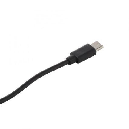 JUST LIGHT. 19260-18 - LED Stmievateľná dotyková vonkajší lampa ABERA LED/3W/3,7V 2000 mAh USB IP54 čierna