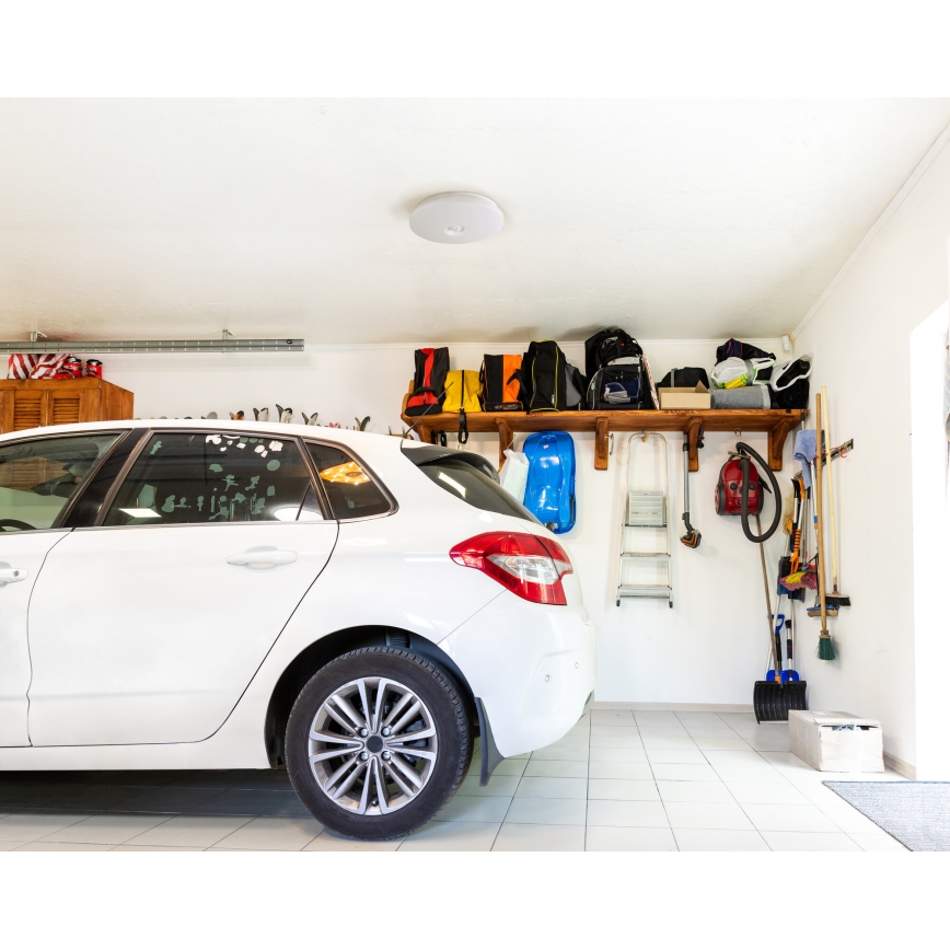 LED stropné svietidlo s detekciou pohybu a súmraku FOGLER LED/12W/230V pr. 28 cm