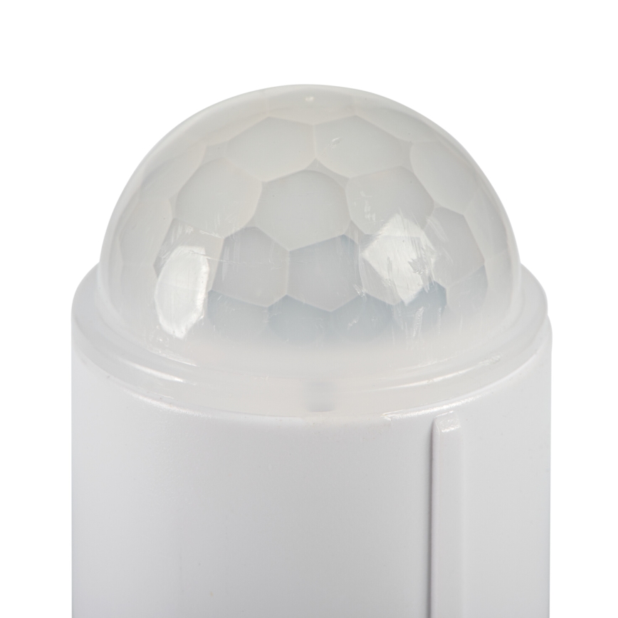 LED stropné svietidlo s detekciou pohybu a súmraku FOGLER LED/12W/230V pr. 28 cm