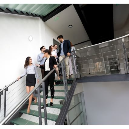 LED stropné/podhľadové svietidlo 2 v 1 ERGA LED/17W/230V 3000/4000/6500K biele