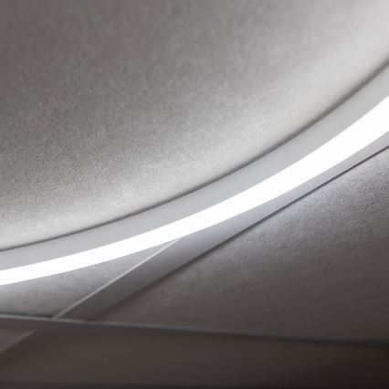 LED pásik osvetľuje zakrivenou líniou strop pozostávajúci z textúrovaných panelov s viditeľnou konštrukciou.