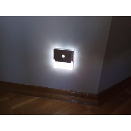 LED Schodiskové svietidlo so senzorom LED/0,8W/12V 3000K