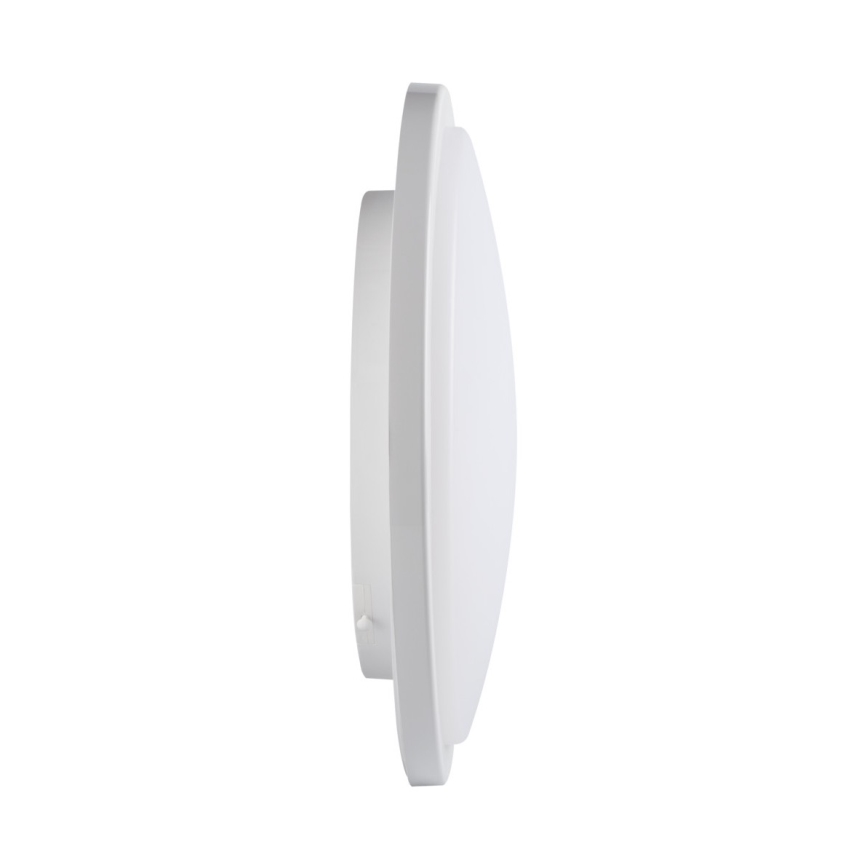 LED Kúpeľnové stropné svietidlo ORTE LED/24W/230V IP54