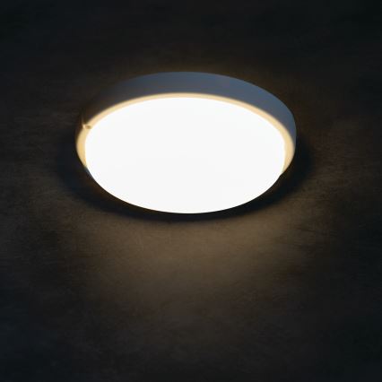 LED Kúpeľňové stropné svietidlo TOLU LED/9W/230V 4000K IP54 biela