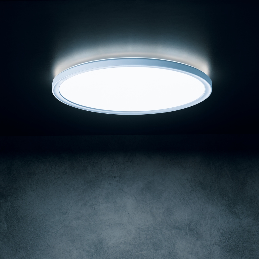 LED Stropné svietidlo AZPO LED/11,8W/230V 3000/4000/6000K pr. 22,5 cm IP54 biela