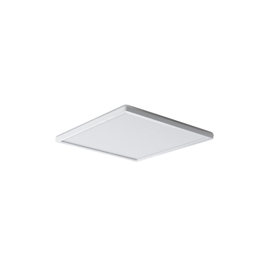 LED Stropné svietidlo AZPO LED/12,3W/230V 3000/4000/6000K 22,5x22,5 cm IP54 biela