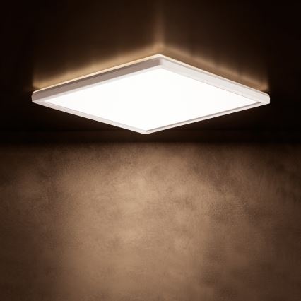 LED Stropné svietidlo AZPO LED/22W/230V 3000/4000/6000K 42x42 cm IP54 biela