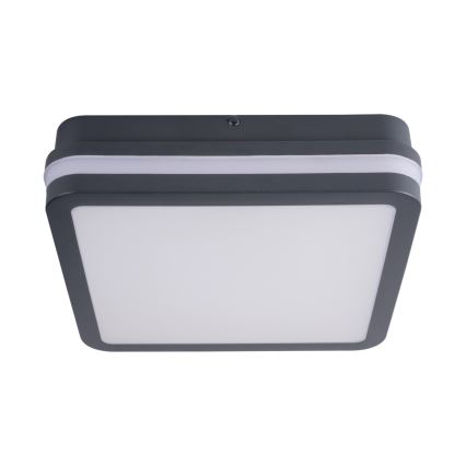 LED Vonkajšie svietidlo BENO LED/18W/230V 4000K antracit IP54