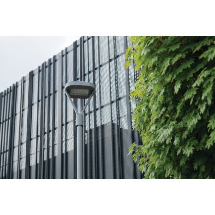 LED Pouličná lampa PARCOLI LED/30/40/50W/230V 3000/4000/6500K IP66 šedá